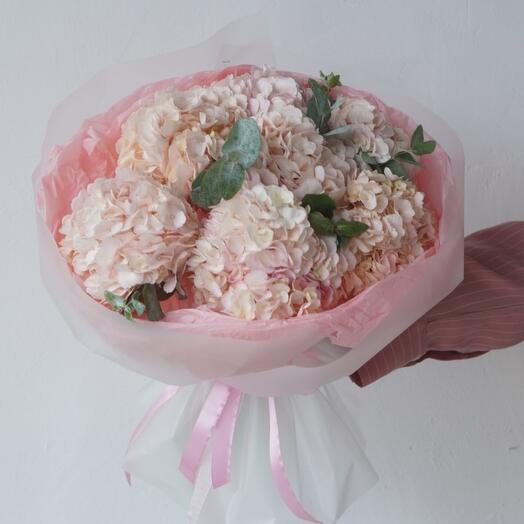 Премиальный букет «Ванильное облако» ,  розовая гортензия, 7шт