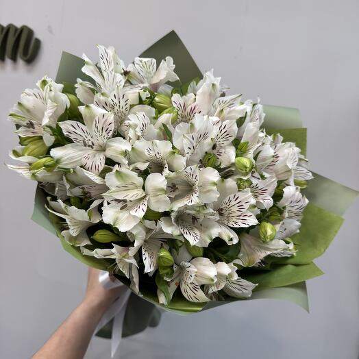 Белоснежная альстромерия