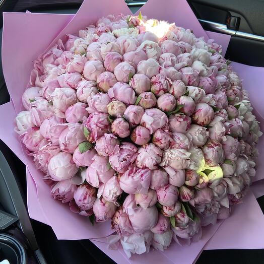 Букет из 169 пионов