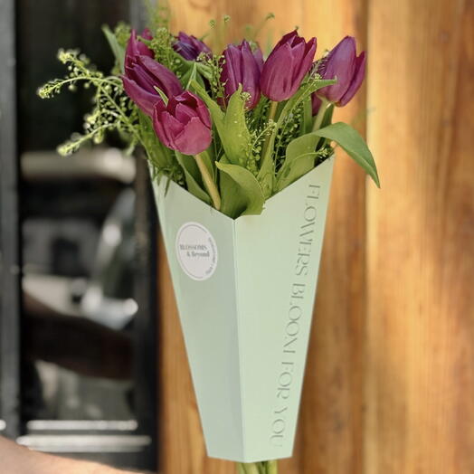 The Tulips Love Edition Purple