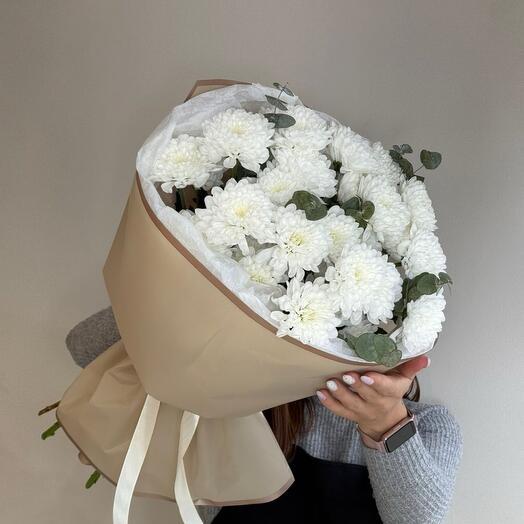 Нежные хризантемки🌸