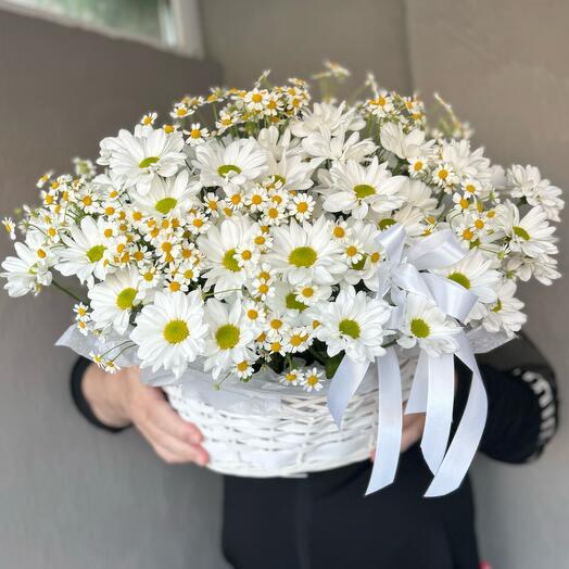 Корзина с цветами. Ромашковое поле 🌿