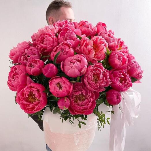 51 пион в коробочке