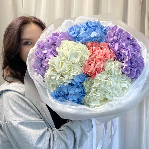 Микс из 7 гортензий