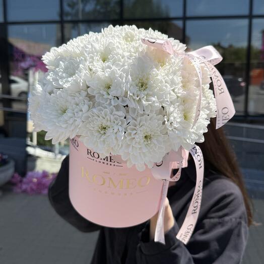 Нежная хризантема