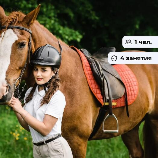 Путь всадника. Курс верховой езды