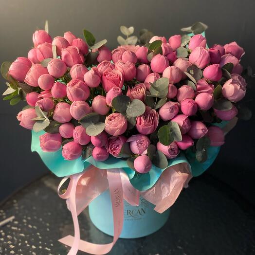 Silva pink box