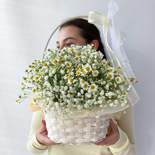 Корзина с цветами гипсофилы и ромашки