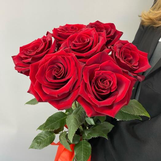7 Красных роз на ленте