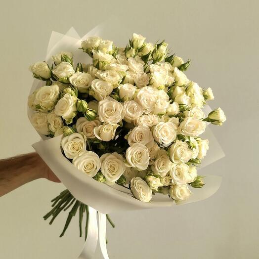 Cream rose