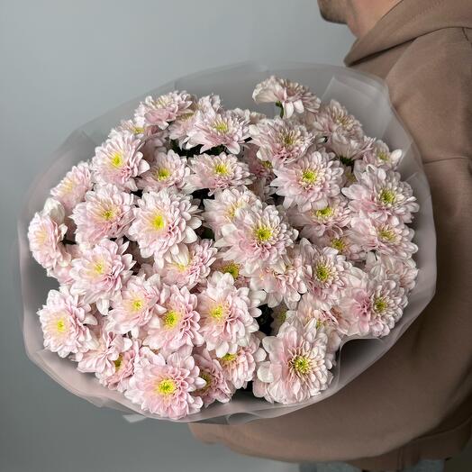 Кустовая хризантема Пастэлла