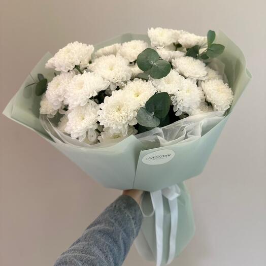 Хризантемы 🤍