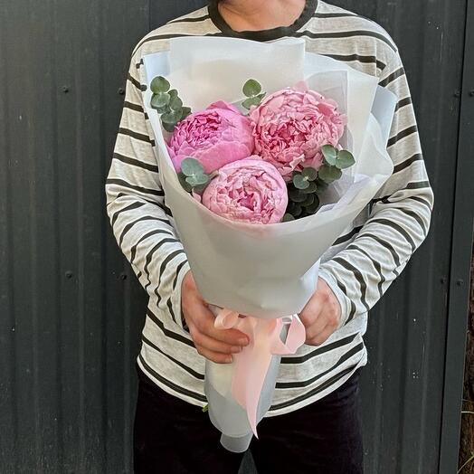 Пионы розовые 3 штуки