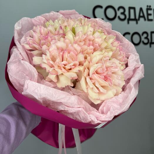 Французская Роза Эсперанса