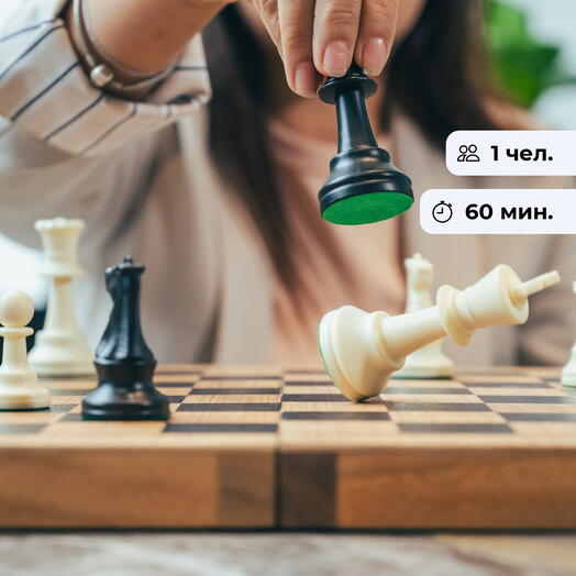 Шахматный дебют. Мастер-класс по шахматам