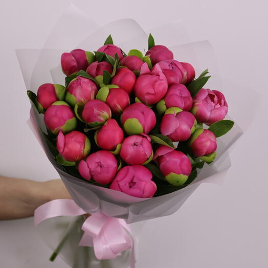 29 коралловых пионов