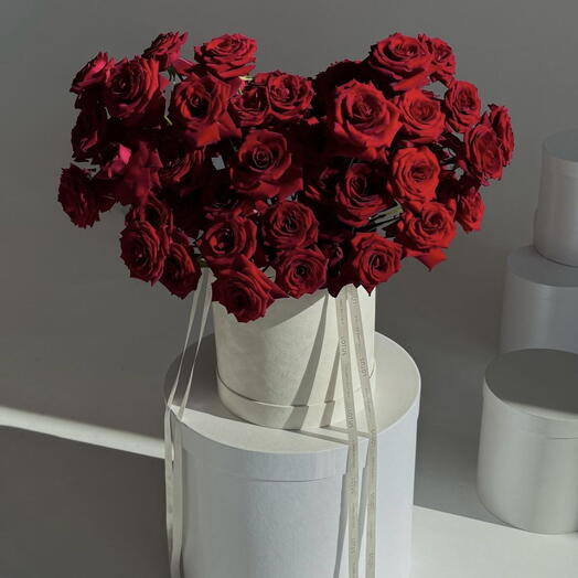 Rosa francesa vermelha