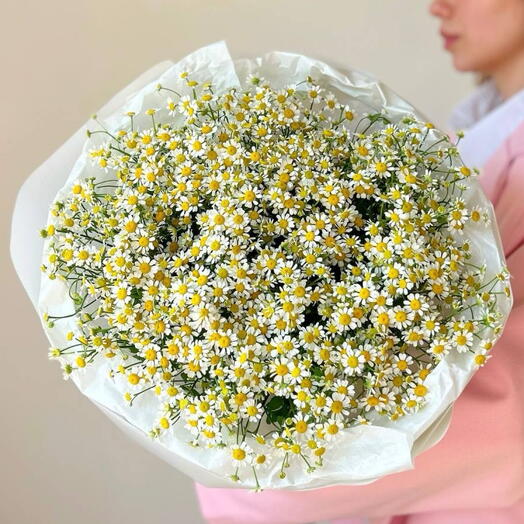 Шикарный монобукет из 25 ромашек