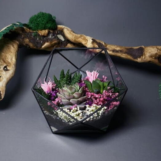 Флорариум с теневыносливыми суккулентами "Малиновый закат" для любимой
