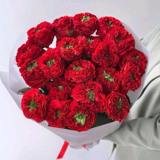 ️️🌹 Букет из 25 крупных пионовидных роз эквадор Red Monster