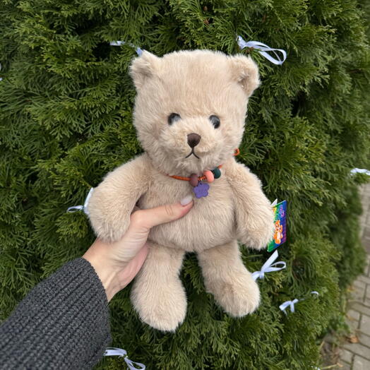 Пушистый мишка🐻