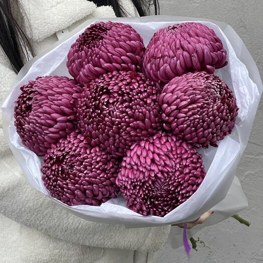 Сезонное предложение 💥 7 хризантем Бигуди (purple)