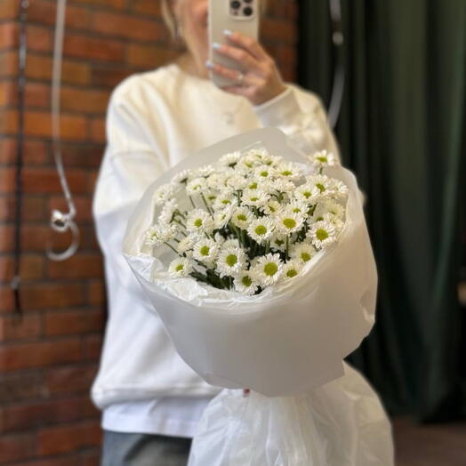 Ромашковое поле