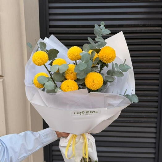 Трендовые момоко