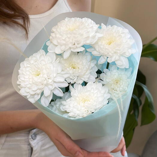 Хризантема кустовая белая в стильной упаковке поштучно