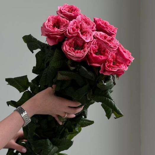 Пачка пионовидных роз (без упаковки, не обработанные) «РИДЖЕНС»