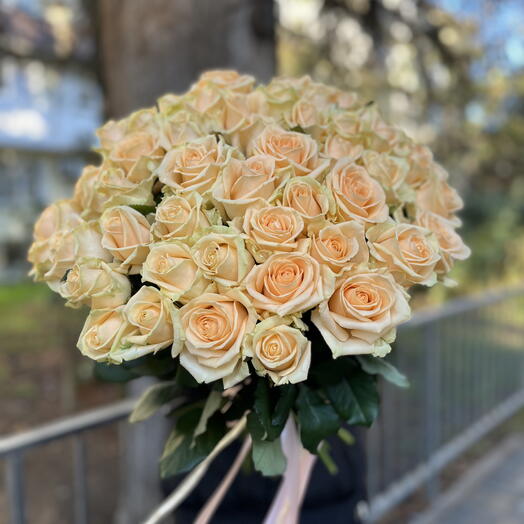 51 Роза ,персиковые «пинч»
