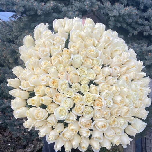 151 розочка🧡