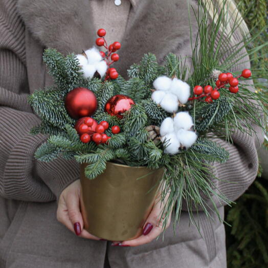 Новогодняя композиция «Новогодние огни» из живого нобилиса, хлопка и декора. Подарок на Новый год