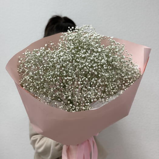 Моно из гипсофил