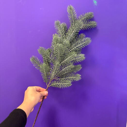 Веточка ели