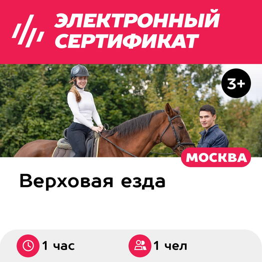 Подарочный сертификат Индивидуальное занятие по верховой езде с тренером, 1 чел. (1 час)