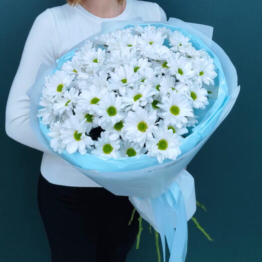 Кустовая хризантема Ромашка,9шт
