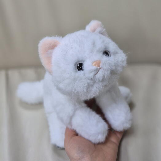 Котик белый