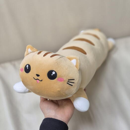 Котик батон рыжий