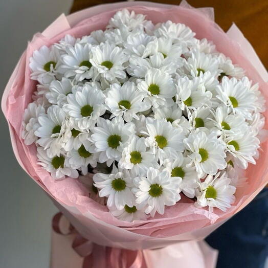 Ромашкавидний хризантема