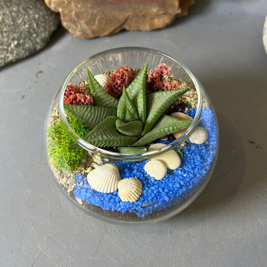 Флорариум Супермини морской