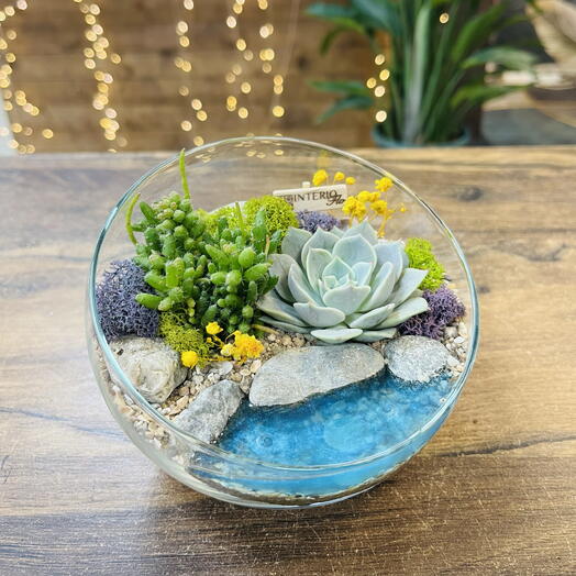 Флорариум Шар S