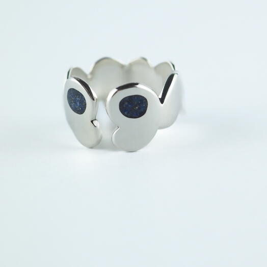 Anillo Ipotoc