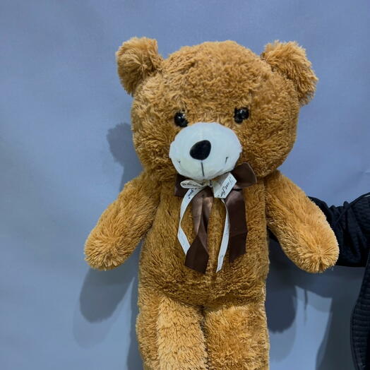 Медведь коричневый