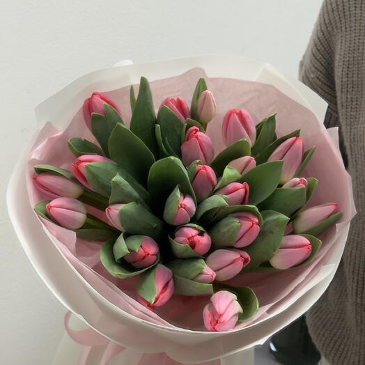 Pink Velvet Tulips