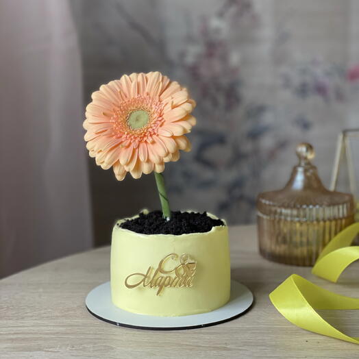 Бенто-торт «Горшочек с герберой» — трендовый подарок 2 в 1 на 8 Марта 🌼