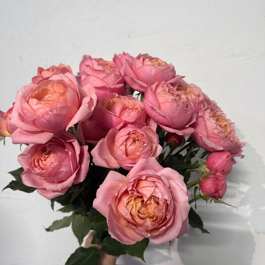 Букет из 7 пионовидных роз Джульетта