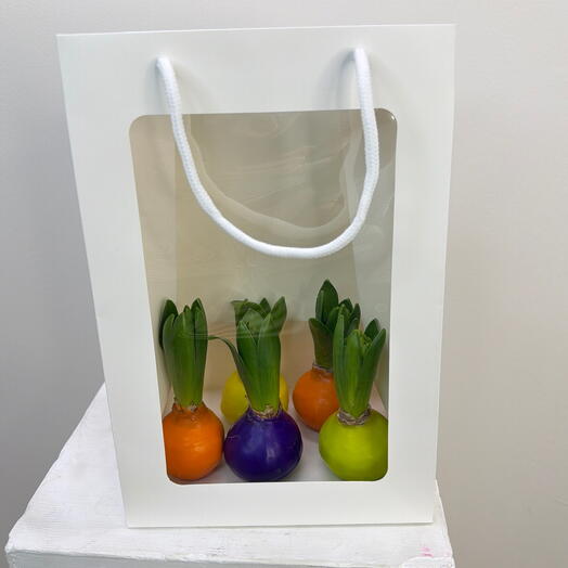 Подарочный набор гиацинтов