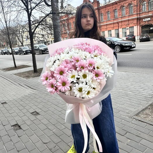 Ромашковый луг