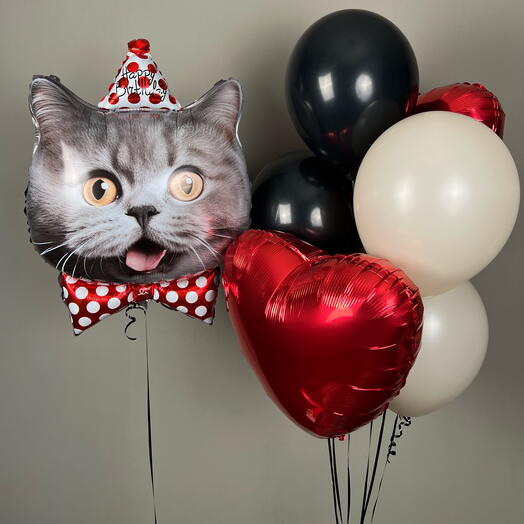 Набор шаров с котом «Happy Birthday»